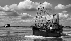 帮您提升品质的在线轰炸电话软件版