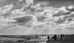 区域优化的在线呼叫网页版软件