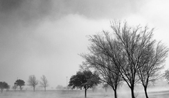 短信在线呼死你2023